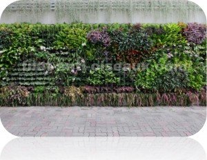 L'utilisation du filet comme support pour vos plantes rampantes d'ornement.